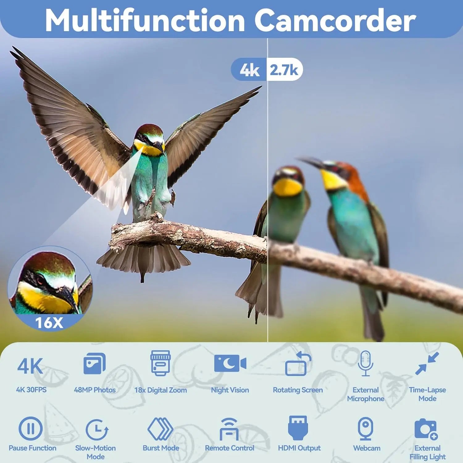 4K Video Camera With Microphone