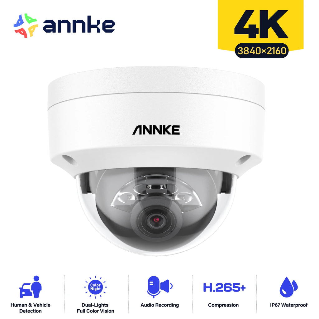 PoE Outdoor Security Camera, Dual Light, Built-in Mic