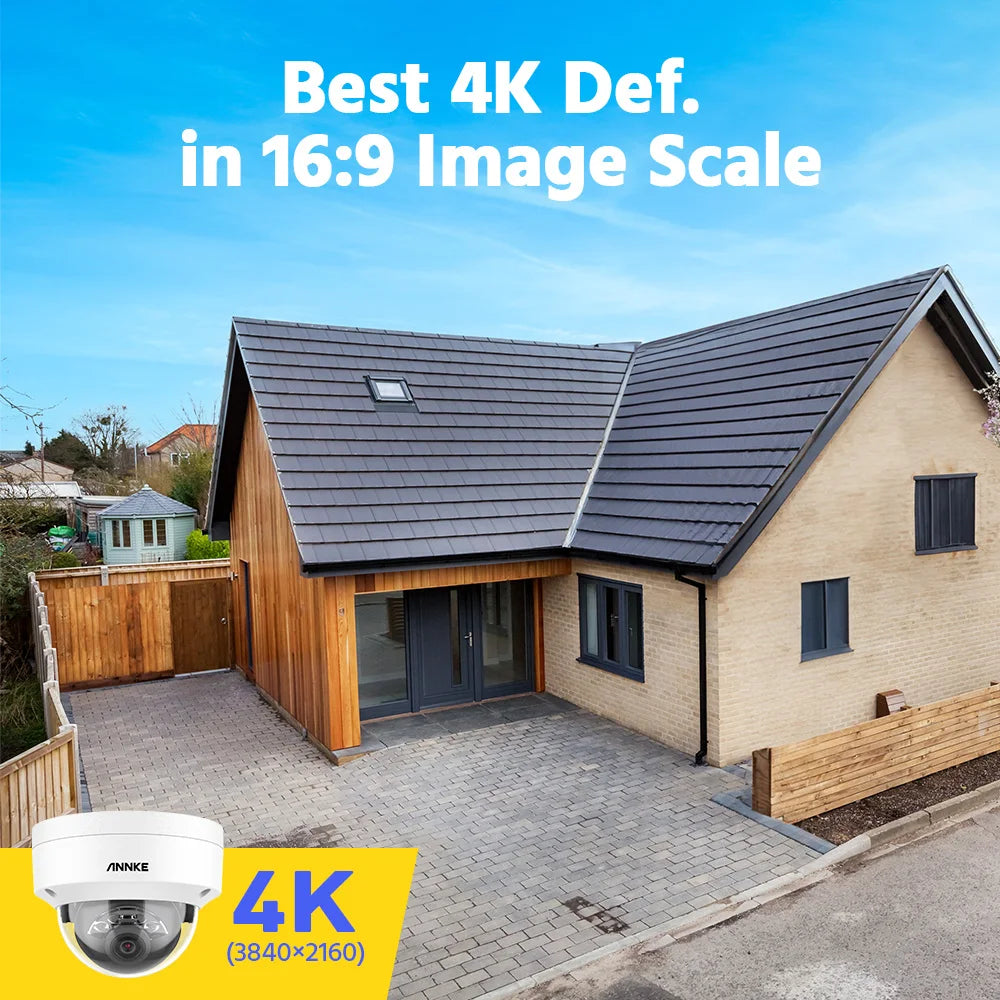 PoE Outdoor Security Camera, Dual Light, Built-in Mic